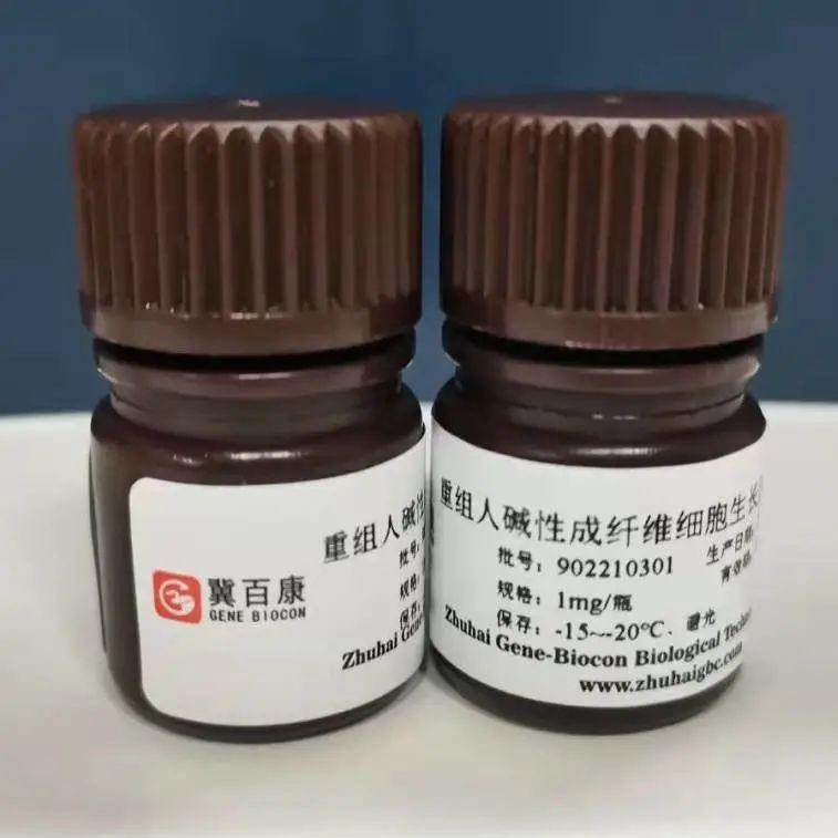 微信圖片_20240910103949 微信圖片_20240910103949