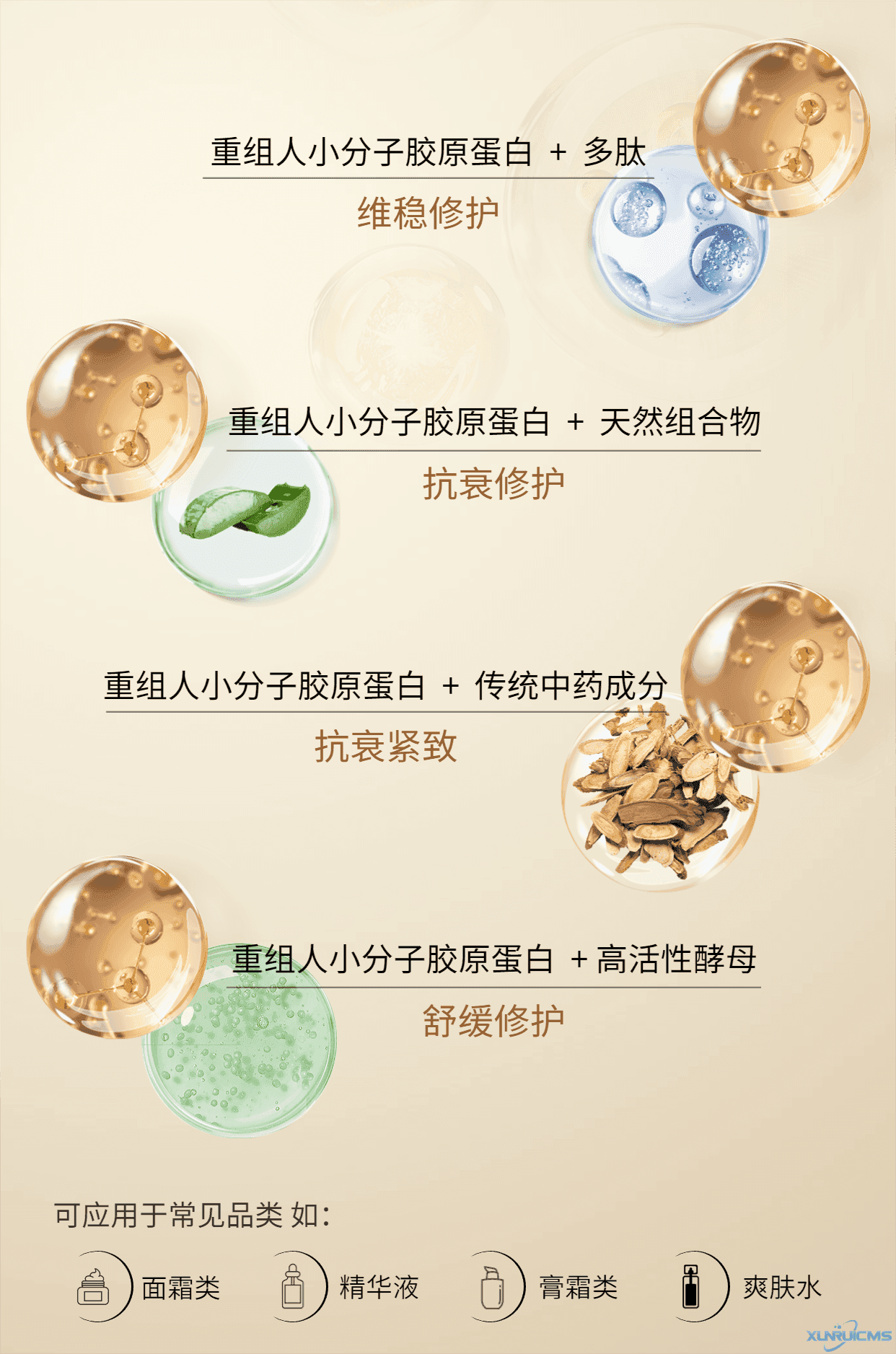 微信圖片_20240927163147 微信圖片_20240927163147