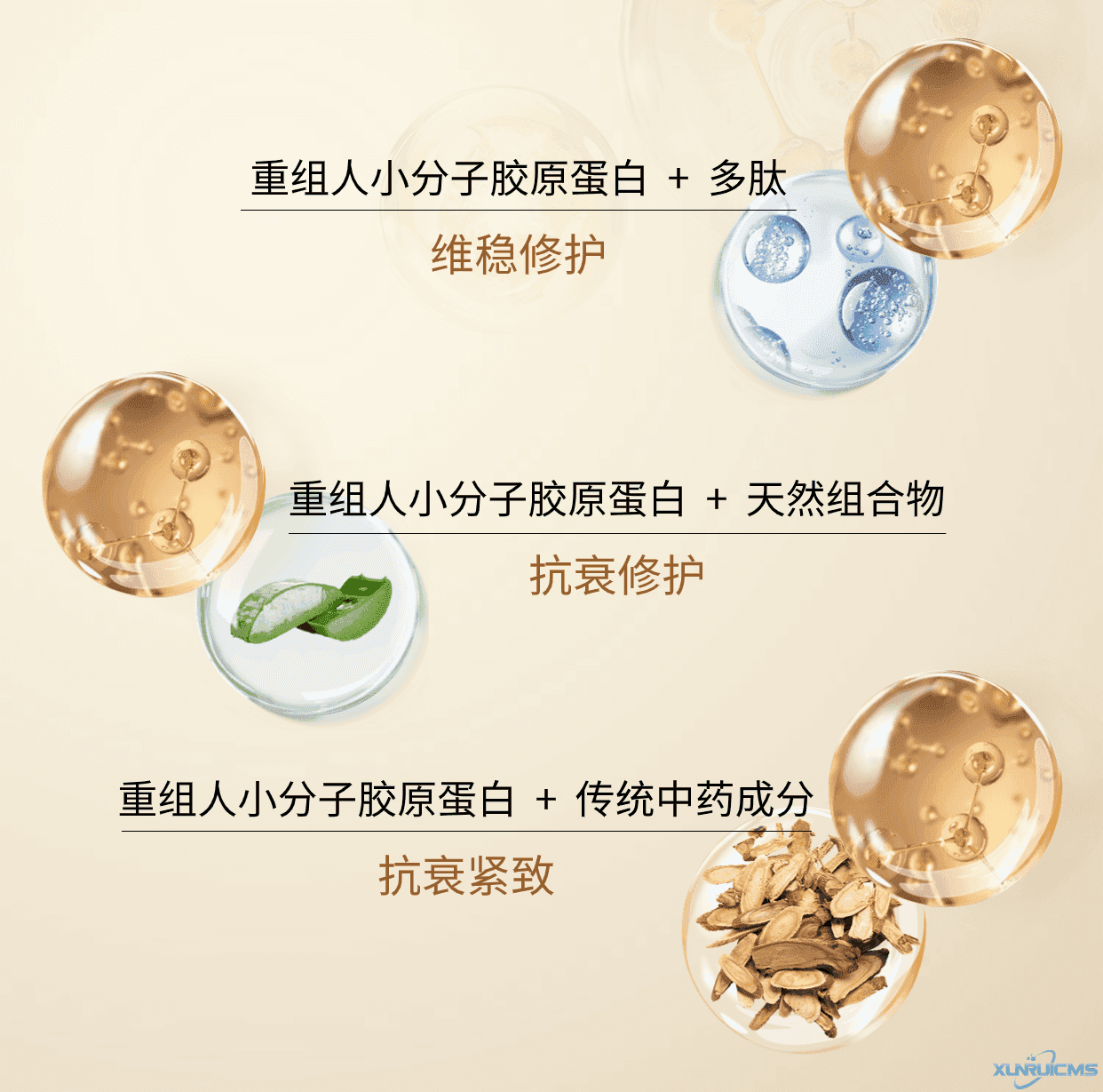 微信圖片_20241021170242