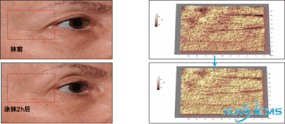 微信圖片_20241022104806 微信圖片_20241022104806