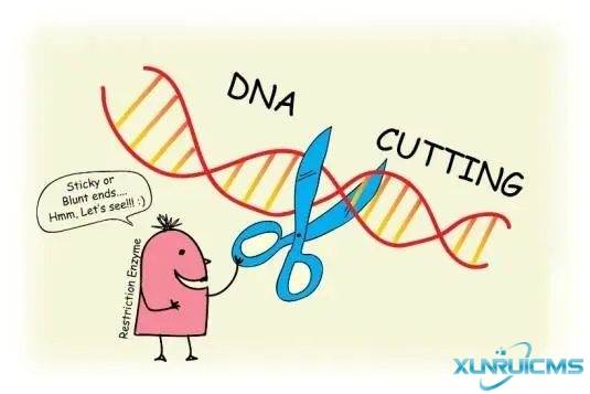 微信圖片_20241022161028 微信圖片_20241022161028