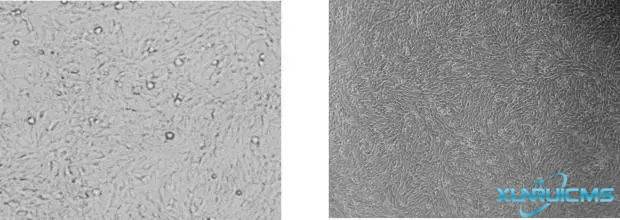 微信圖片_20241022161042 微信圖片_20241022161042