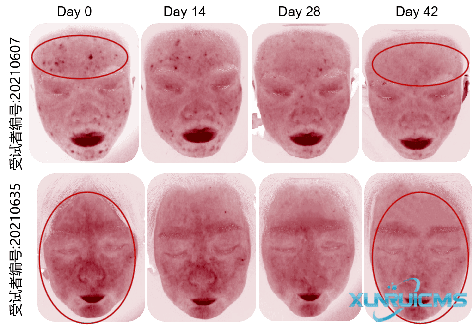 微信圖片_20241022170626 微信圖片_20241022170626