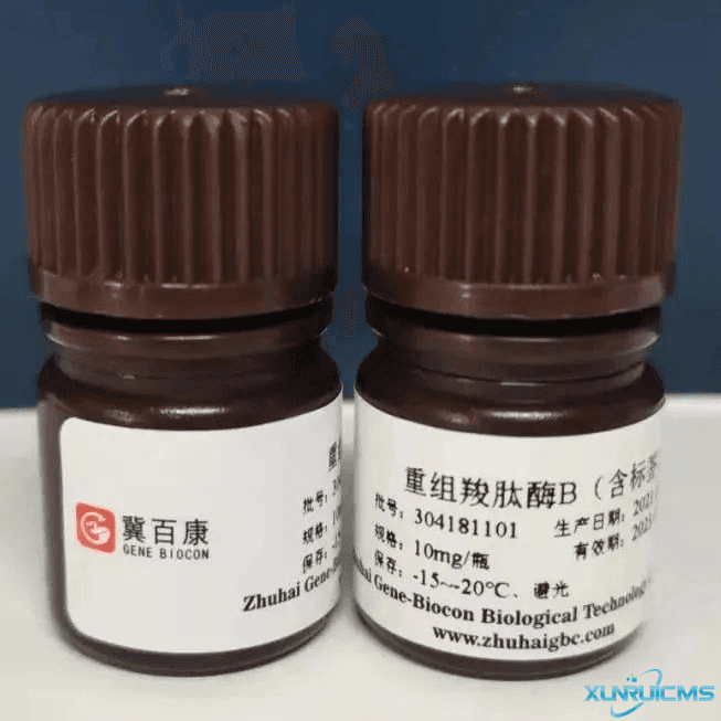 微信圖片_20241024094424 微信圖片_20241024094424