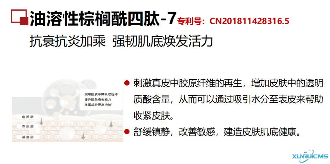 微信圖片_20241024100655 微信圖片_20241024100655