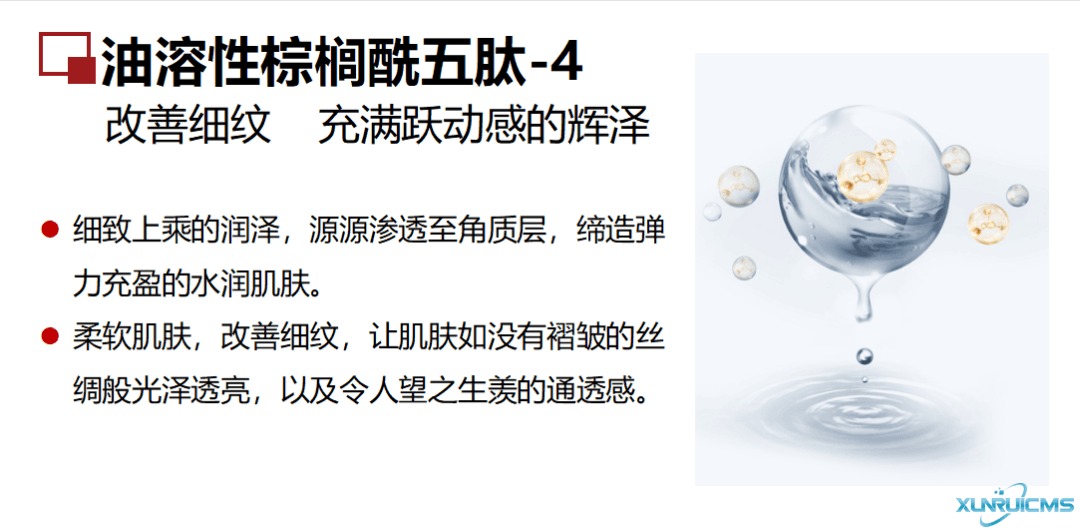 微信圖片_20241024100658 微信圖片_20241024100658