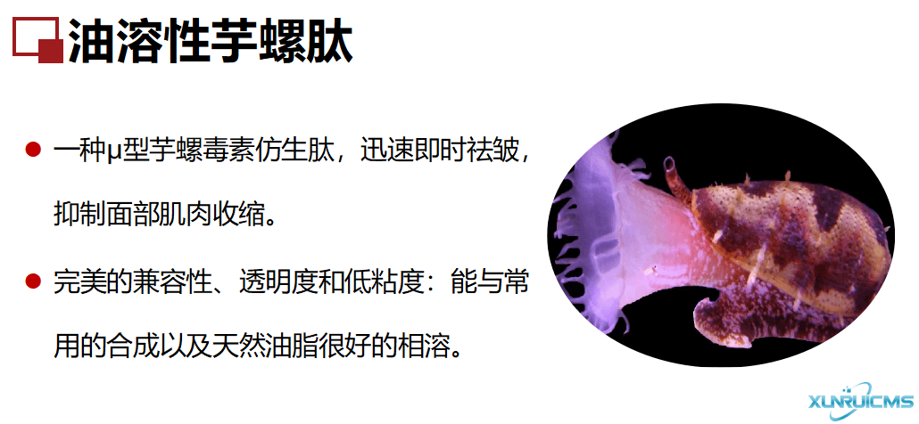 微信圖片_20241024100645 微信圖片_20241024100645