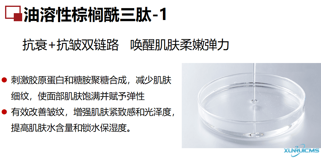 微信圖片_20241024100652 微信圖片_20241024100652