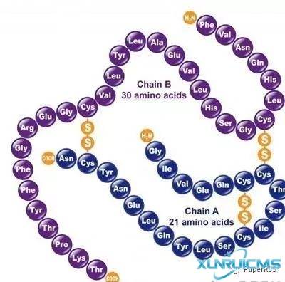 微信圖片_20241029113206 微信圖片_20241029113206