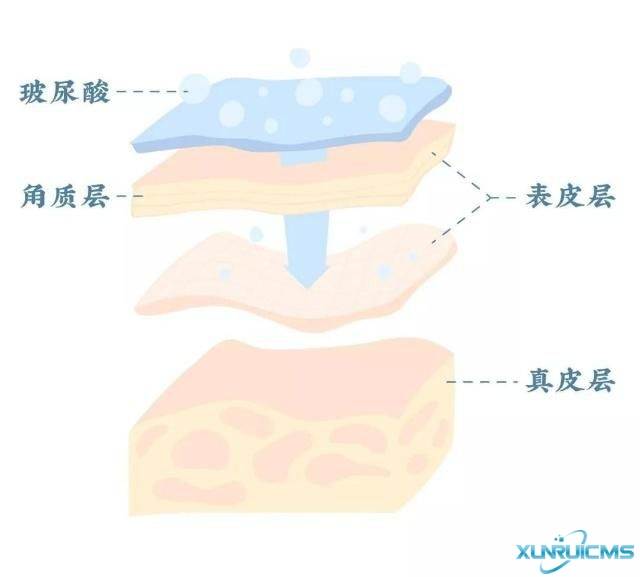 微信圖片_20241029171259 微信圖片_20241029171259