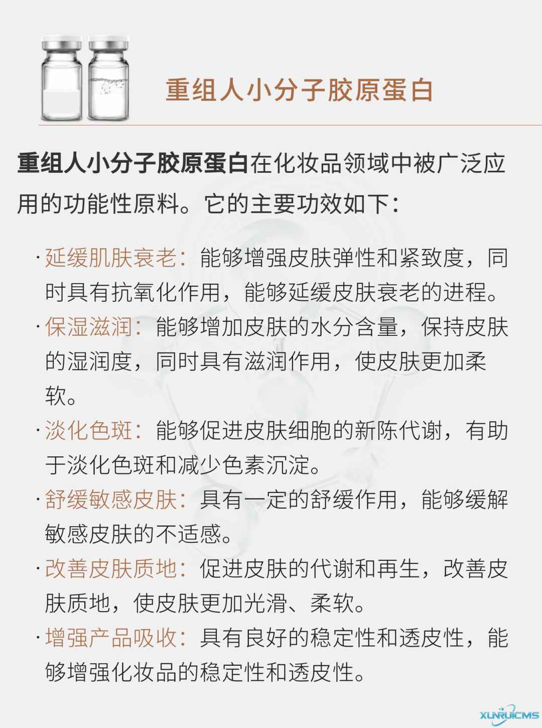 微信圖片_20241030100738