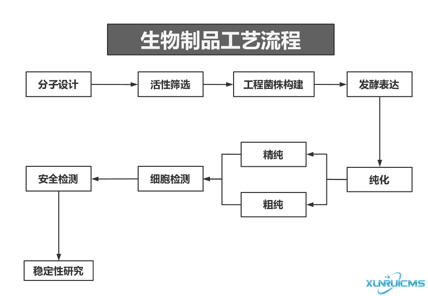 微信圖片_20241030101509