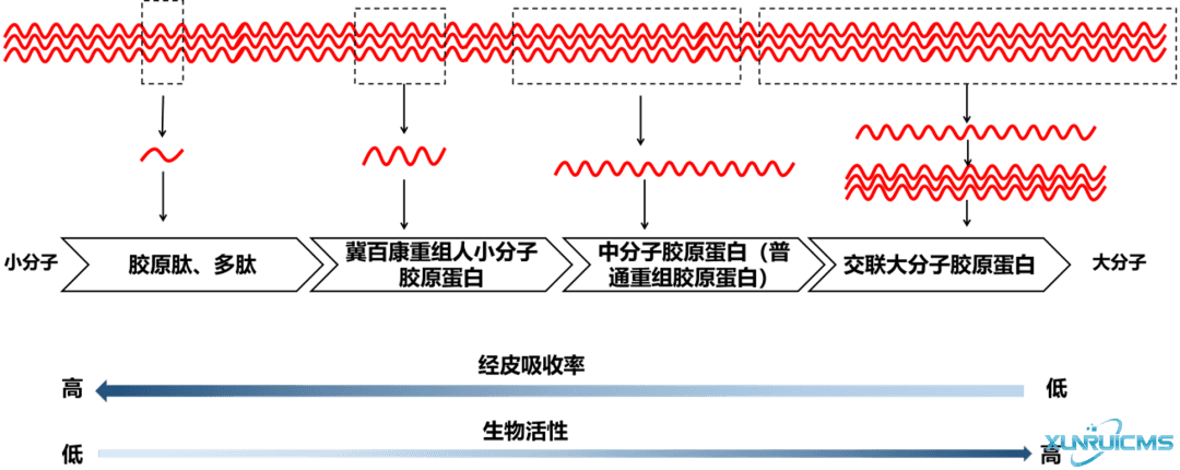 微信圖片_20241101134456 微信圖片_20241101134456