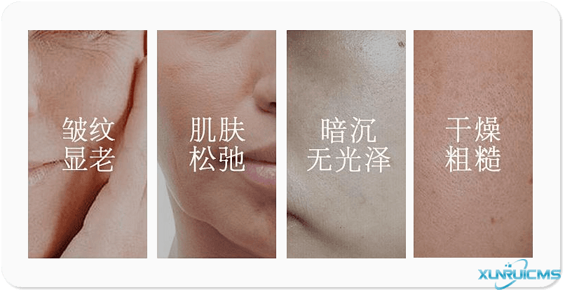 微信圖片_20241101101850 微信圖片_20241101101850