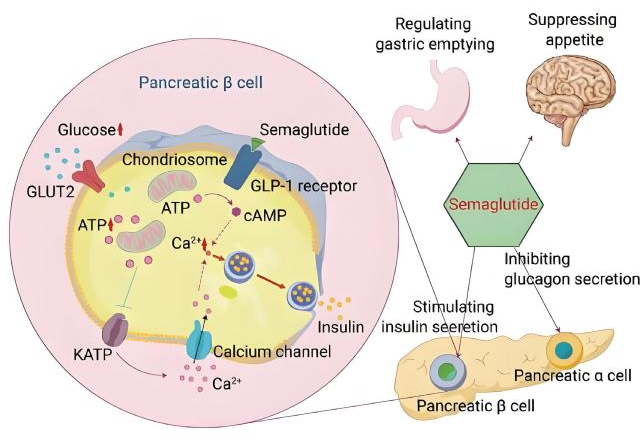 圖片1.png55.png 圖片1.png55.png
