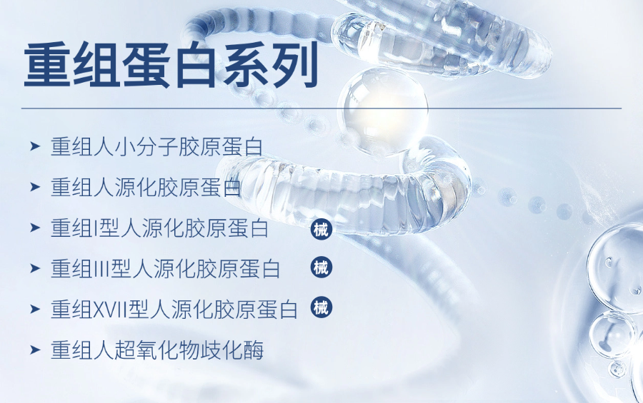 稿定設(shè)計(jì)-1.png 稿定設(shè)計(jì)-1.png